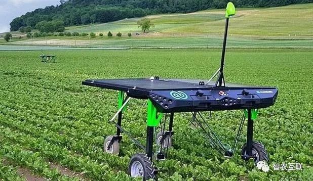 机器人农民:除草机器人问世!